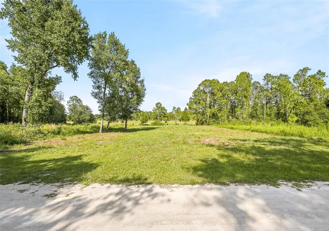 Homes for sale in Webster, FL | 100 Berryhill Dr, Webster, FL 33597 | MLS# W7887333