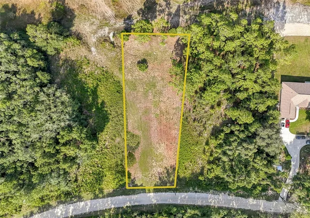 Homes for sale in Webster, FL | 100 Berryhill Dr, Webster, FL 33597 | MLS# W7887333