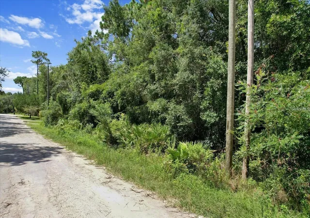 Homes for sale in Homosassa, FL | 1420 S Highcliff Pt, Homosassa, FL 34448 | MLS# D6147988