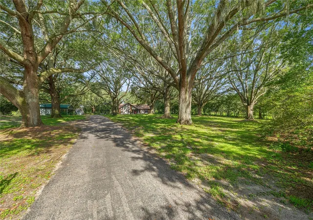 Photo 3 of Single family home for sale at 16250 SW 20th Avenue Rd, Ocala, FL 34473 | MLS# OM727916 | Listing updated on 2026-07-28