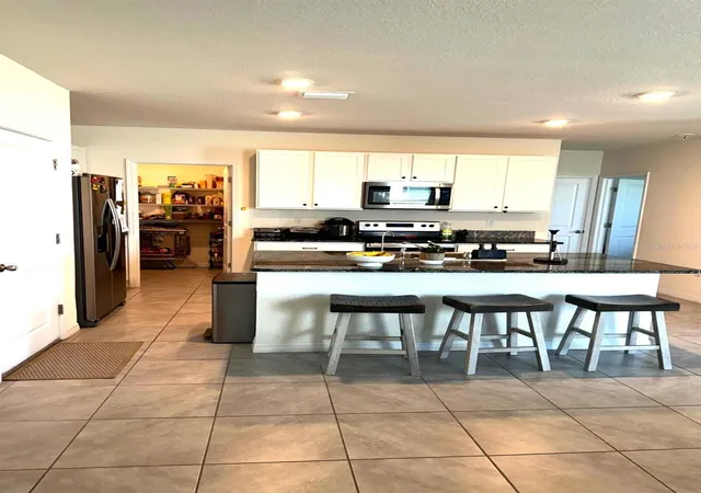 Homes for sale in San Antonio, FL | 10570 Penny Gale Loop, San Antonio, FL 33576 | MLS# TB8525908
