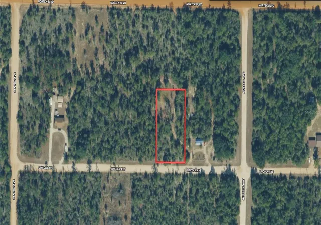 1st image of Lincoln Ave, Alford, FL 32420 | MLS# TB8525919