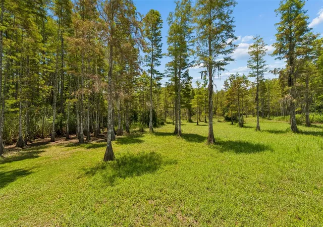Homes for sale in New Port Richey, FL | 2154 Ground Squirrel Dr, New Port Richey, FL 34655 | MLS# TB8525971