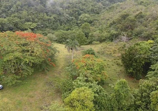 Homes for sale in Morovis, PR | Pr 6684 Buena Vis Km Hm 25, Morovis, PR 00687 | MLS# PR9122561