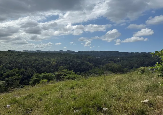 Homes for sale in Morovis, PR | Pr 6684 Buena Vis Km Hm 25, Morovis, PR 00687 | MLS# PR9122561