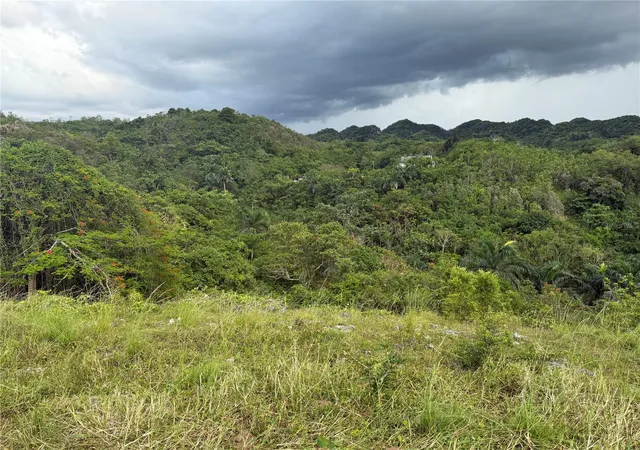 Homes for sale in Morovis, PR | Pr 6684 Buena Vis Km Hm 25, Morovis, PR 00687 | MLS# PR9122561