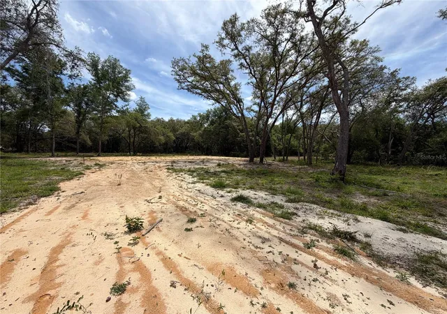Homes for sale in Webster, FL | 0 Wheystone Dr, Webster, FL 33597 | MLS# W7887340
