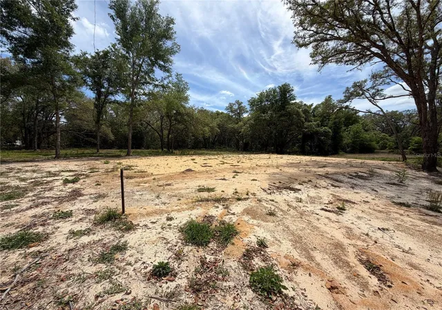 Homes for sale in Webster, FL | 0 Wheystone Dr, Webster, FL 33597 | MLS# W7887340