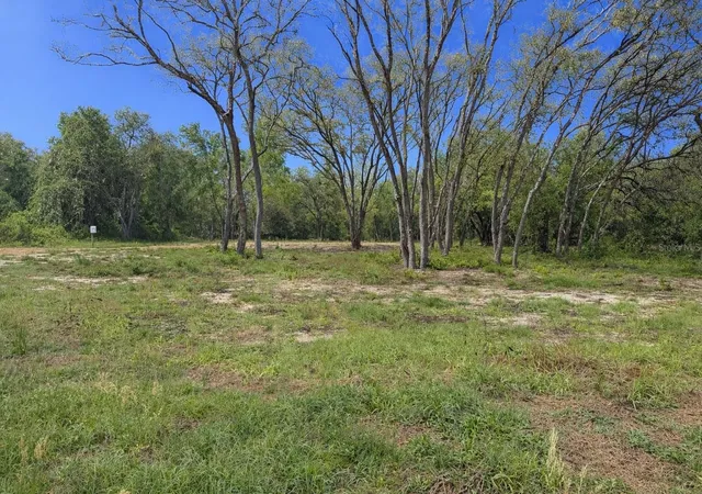 Homes for sale in Webster, FL | 0 Wheystone Dr, Webster, FL 33597 | MLS# W7887340