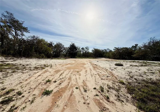 Homes for sale in Webster, FL | 0 Wagers Dr, Webster, FL 33597 | MLS# W7887341