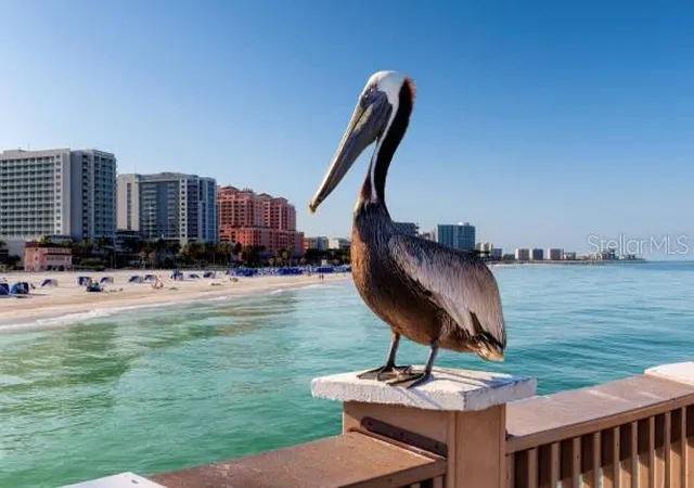 2nd image of 2947 S Atlantic Ave #1706, Daytona Beach, FL 32118 | MLS# V4950040