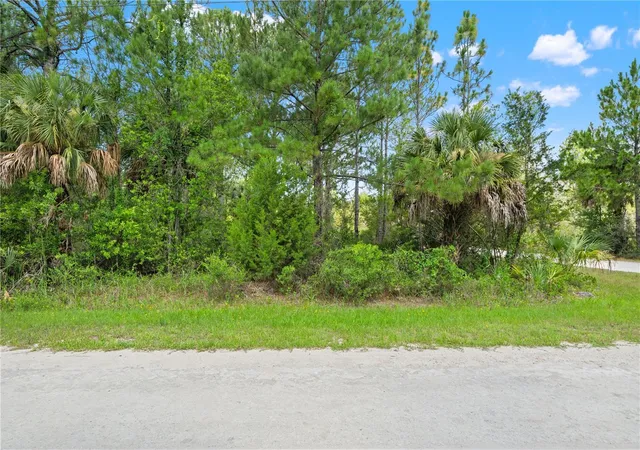 Homes for sale in Weeki Wachee, FL | Ramsey Rd #16, Weeki Wachee, FL 34614 | MLS# TB8526036