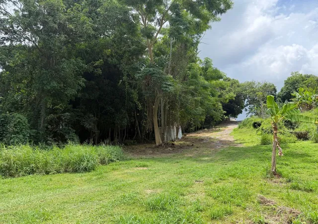 Homes for sale in Hormigueros, PR | Carr 304 Barrio Jaguitas Ward, Hormigueros, PR 00660 | MLS# PR9122571