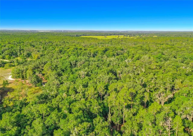 Homes for sale in Webster, FL | 33099 Coral Rock Dr, Webster, FL 33597 | MLS# TB8526123