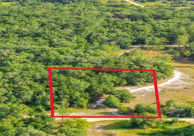 Homes for sale in Webster, FL | 33099 Coral Rock Dr, Webster, FL 33597 | MLS# TB8526123