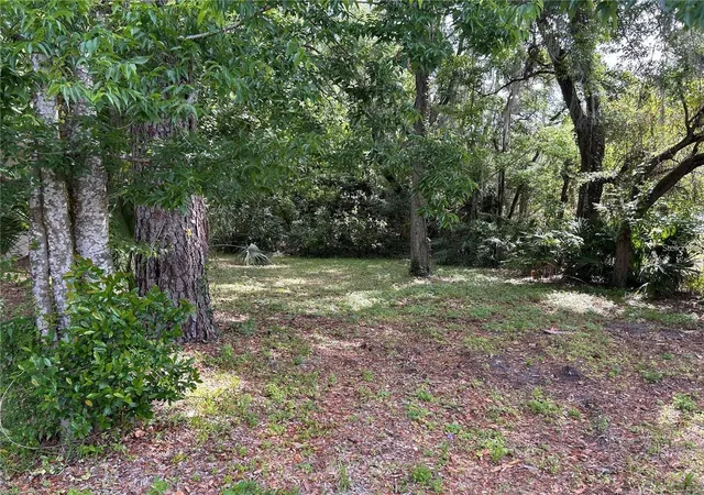 Homes for sale in Gainesville, FL | Tbd Se 12th St, Gainesville, FL 32641 | MLS# GC541718