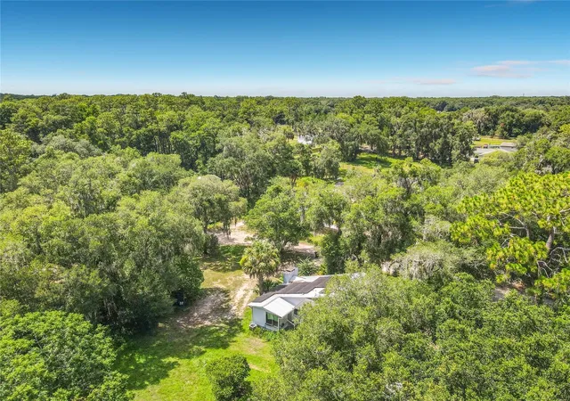 Homes for sale in Paisley, FL | 24930 Avenue C, Paisley, FL 32767 | MLS# G5114696