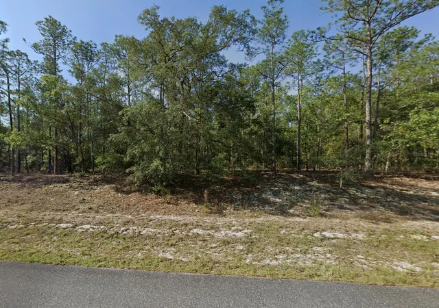 Homes for sale in Dunnellon, FL | 608 E Bimini Dr, Dunnellon, FL 34434 | MLS# TB8526158