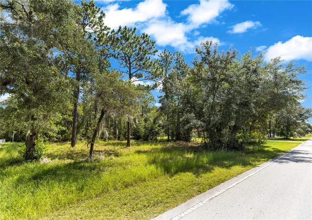 Homes for sale in Dunnellon, FL | Lot 40 Sw Marine Blvd, Dunnellon, FL 34431 | MLS# V4950058