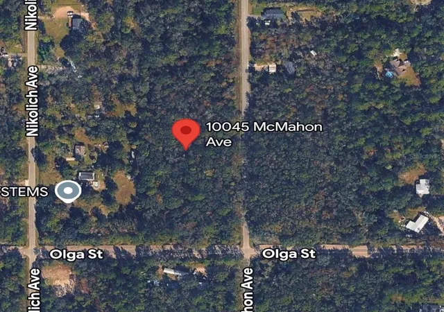 Homes for sale in Hastings, FL | 10045 Mcmahon Ave, Hastings, FL 32145 | MLS# A4699134