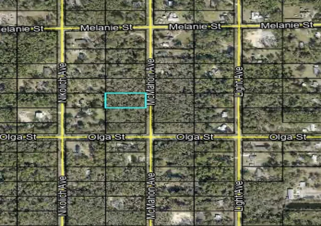 Homes for sale in Hastings, FL | 10045 Mcmahon Ave, Hastings, FL 32145 | MLS# A4699134