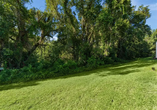 Homes for sale in Leesburg, FL | 4358 Antietam Creek Trl, Leesburg, FL 34748 | MLS# G5114701