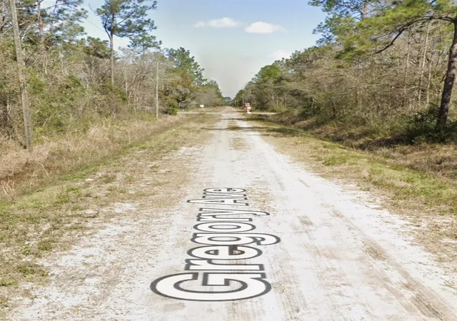 Homes for sale in Hastings, FL | 10620 Gregory Ave, Hastings, FL 32145 | MLS# A4699143