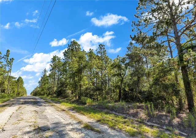 Homes for sale in Dunnellon, FL | Lots 17 And 17 Se 130th Ct, Dunnellon, FL 34431 | MLS# V4950062