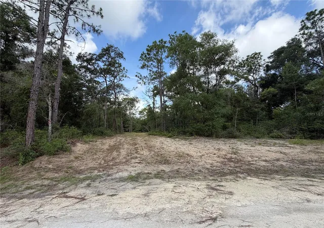 Homes for sale in Webster, FL | 0 Idlewood Dr, Webster, FL 33597 | MLS# W7887374