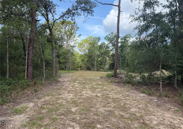 Homes for sale in Webster, FL | 0 Idlewood Dr, Webster, FL 33597 | MLS# W7887374