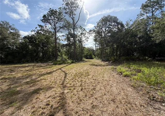 Homes for sale in Webster, FL | 0 Idlewood Dr, Webster, FL 33597 | MLS# W7887374