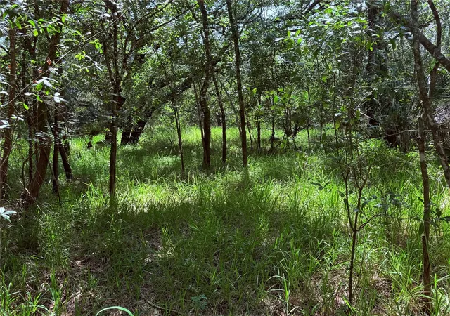 1st image of Ne River Ridge Ave, Arcadia, FL 34266 | MLS# C7528101