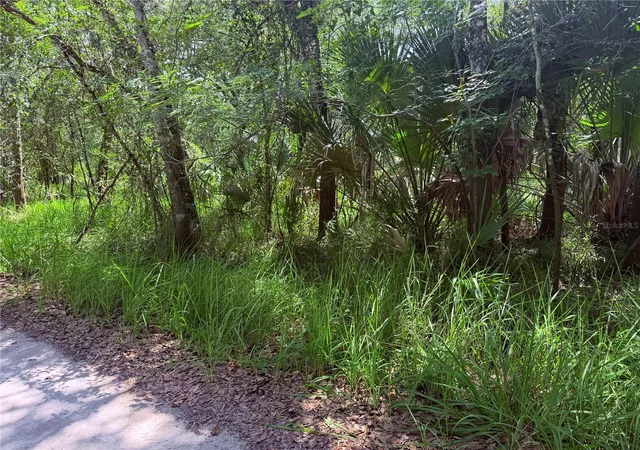 2nd image of Ne River Ridge Ave, Arcadia, FL 34266 | MLS# C7528101