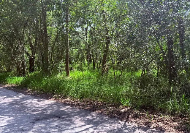 3rd image of Ne River Ridge Ave, Arcadia, FL 34266 | MLS# C7528101