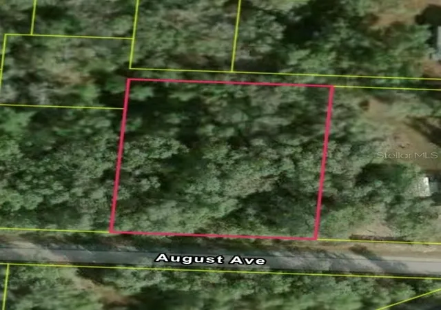 Homes for sale in Webster, FL | 34039 August Ave, Webster, FL 33597 | MLS# S5153135