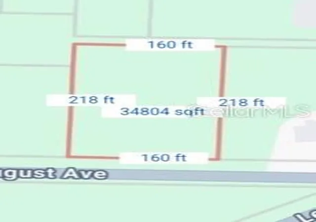 Homes for sale in Webster, FL | 34039 August Ave, Webster, FL 33597 | MLS# S5153135