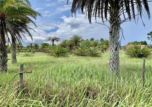 1st image of Dan Brown Hill Rd #Lot 1, Brooksville, FL 34602 | MLS# TB8526400