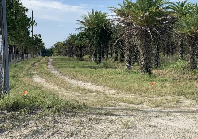 2nd image of Dan Brown Hill Rd #Lot 1, Brooksville, FL 34602 | MLS# TB8526400