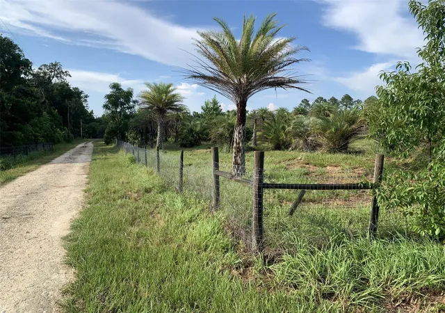 3rd image of Dan Brown Hill Rd #Lot 1, Brooksville, FL 34602 | MLS# TB8526400