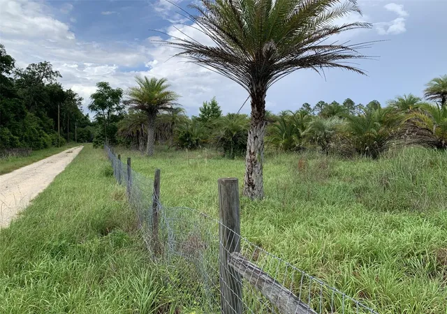4th image of Dan Brown Hill Rd #Lot 1, Brooksville, FL 34602 | MLS# TB8526400