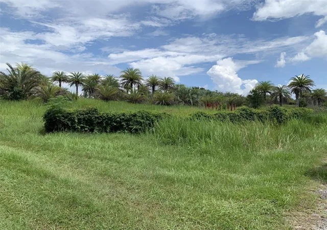 5th image of Dan Brown Hill Rd #Lot 1, Brooksville, FL 34602 | MLS# TB8526400