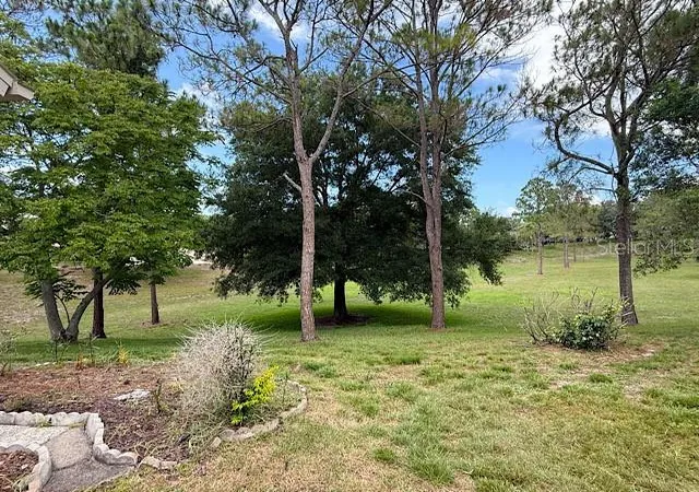 Homes for sale in Spring Hill, FL | 2232 Springmeadow Dr, Spring Hill, FL 34606 | MLS# TB8526402