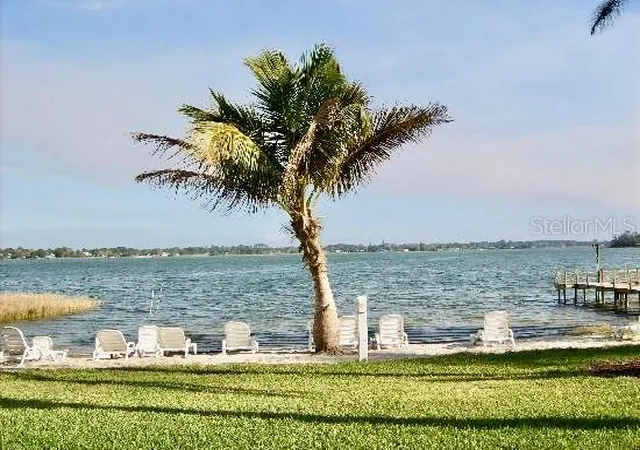 32nd image of 16 W Palm Cir, Lake Placid, FL 33852 | MLS# A4699199