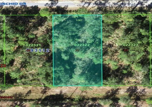 Photo 1 of Land for sale at 905 Orchid Dr, Indian Lake Estates, FL 33855 | MLS# K4903618 | Listing updated on 2026-10-07