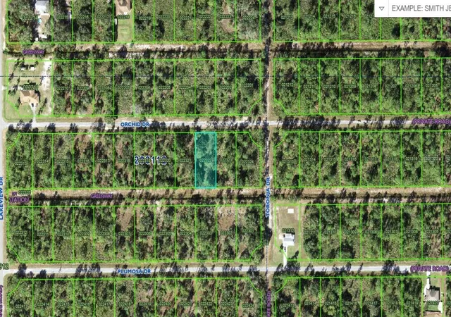Photo 3 of Land for sale at 905 Orchid Dr, Indian Lake Estates, FL 33855 | MLS# K4903618 | Listing updated on 2026-10-07