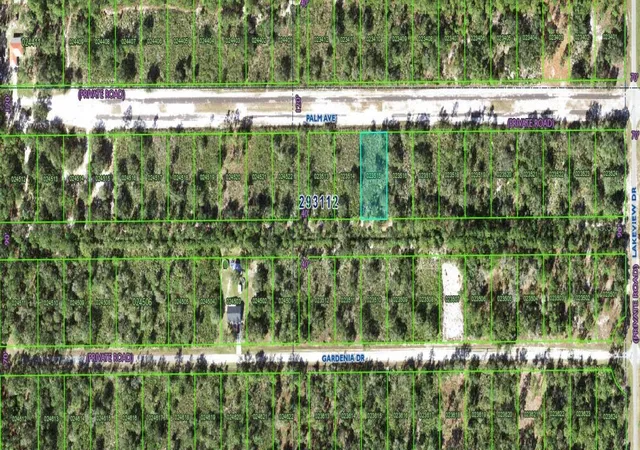 Photo 3 of Land for sale at 1019 Palm Ave, Indian Lake Estates, FL 33855 | MLS# K4903619 | Listing updated on 2026-10-08