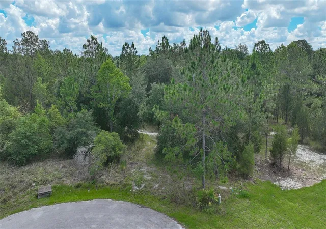6th image of Valley Brook Ct, Spring Hill, FL 34606 | MLS# TB8526441