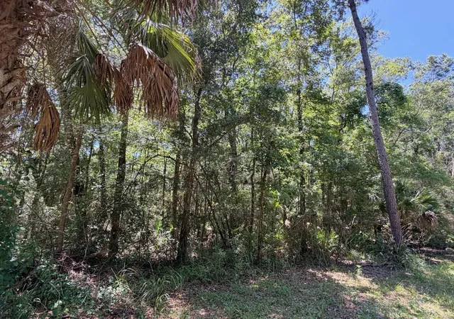 1st image of 0 Se Hwy 19, Inglis, FL 34449 | MLS# GC541745