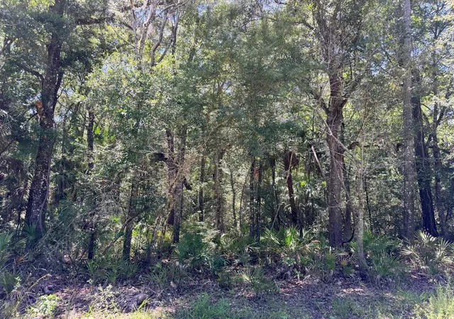 3rd image of 0 Se Hwy 19, Inglis, FL 34449 | MLS# GC541745