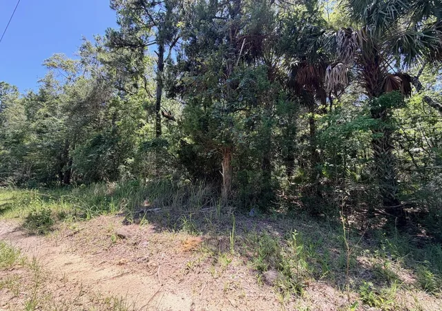 5th image of 0 Se Hwy 19, Inglis, FL 34449 | MLS# GC541745